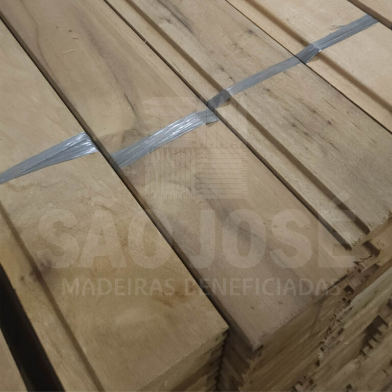 sao-jose-canelão-4