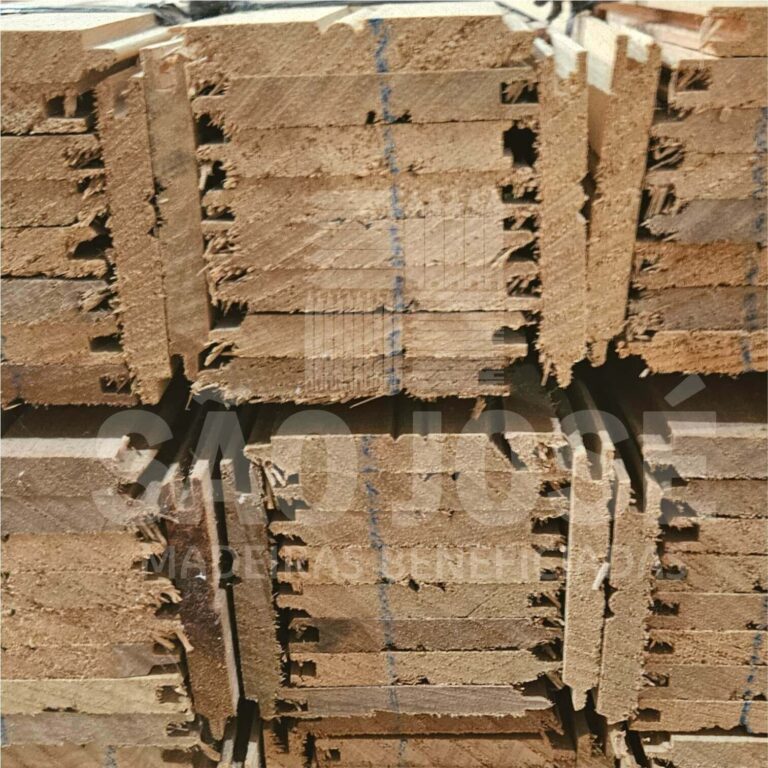 são-jose-tauari-6,5cm.(4)jpg