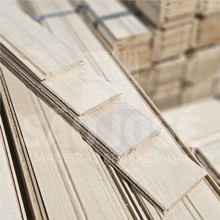 são-jose-tauari-6,5cm.()jpg